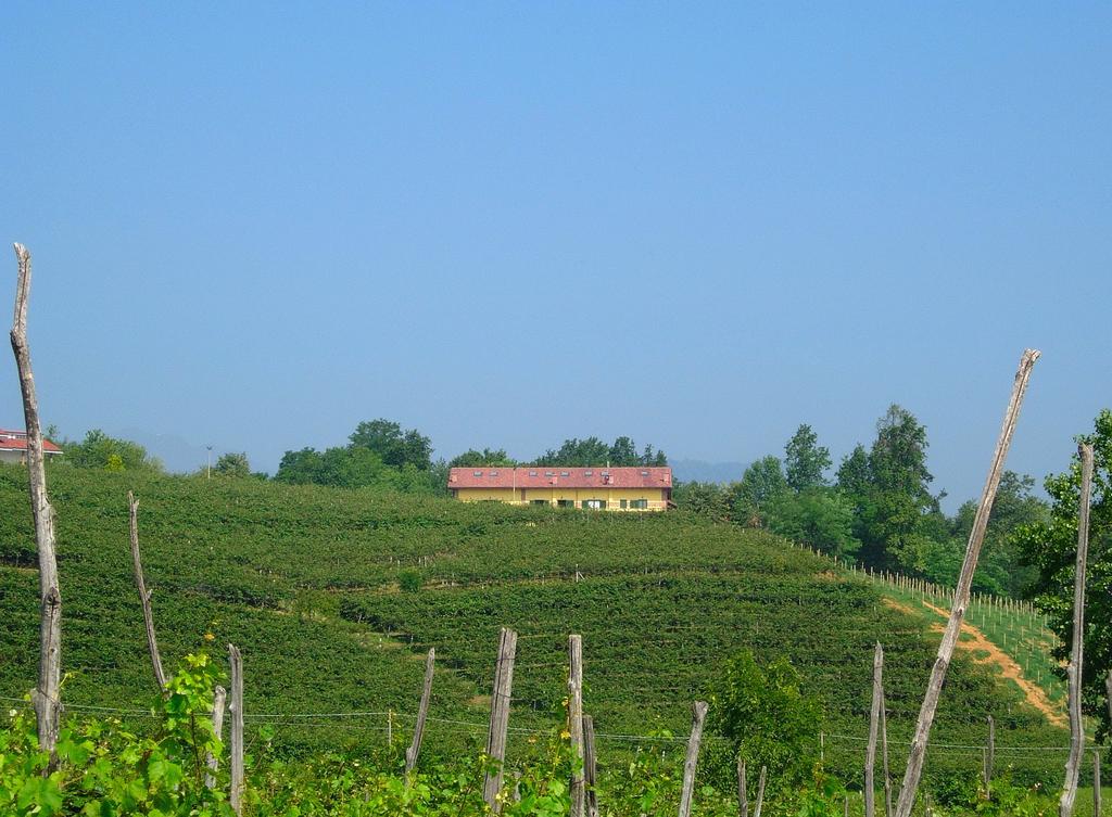 Agriturismo Turina Villa Bricherasio Buitenkant foto