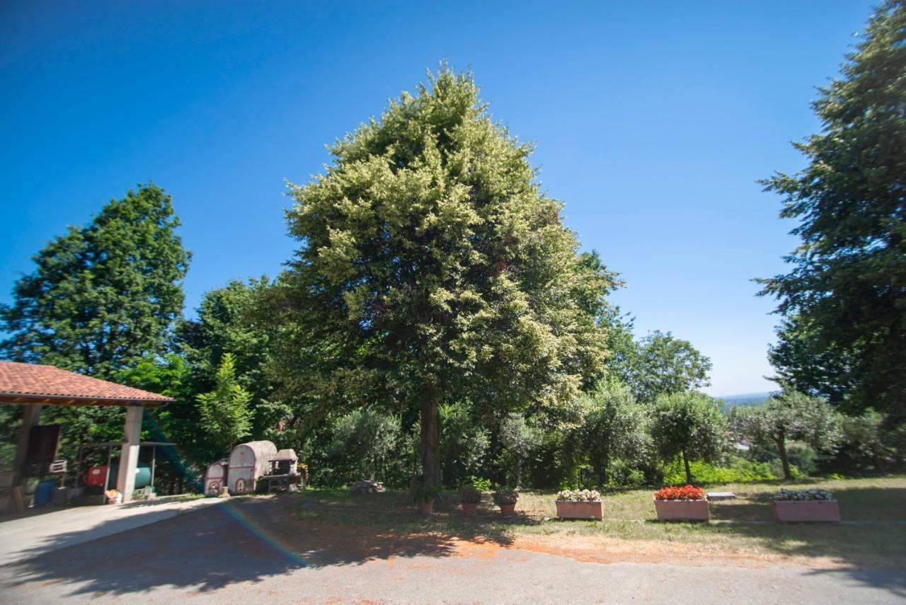 Agriturismo Turina Bricherasio Buitenkant foto