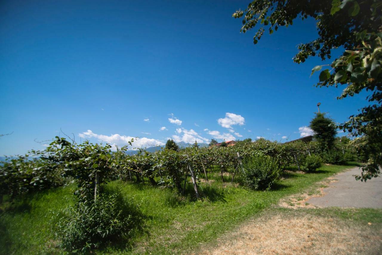Agriturismo Turina Bricherasio Buitenkant foto